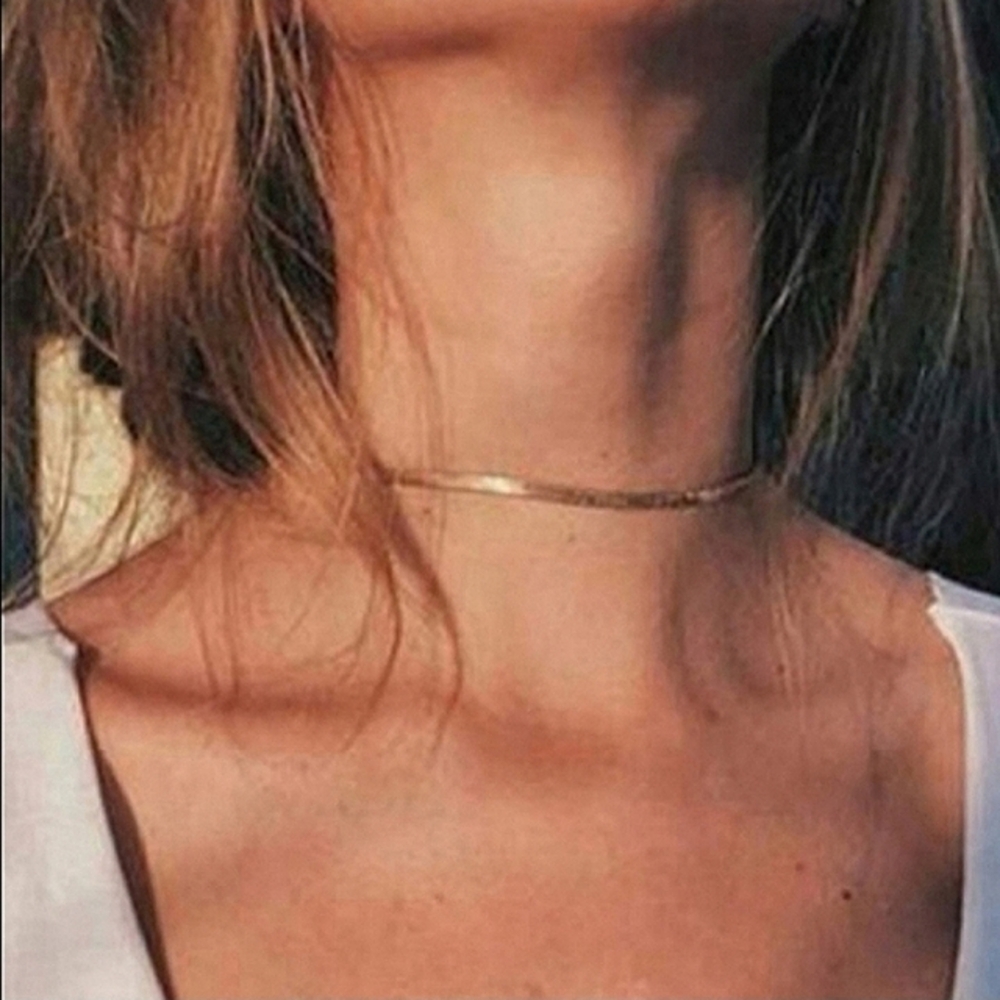 Free People Thin Gold Herringbone Chain Necklace